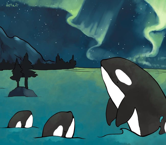 Orcas and Northern Lights