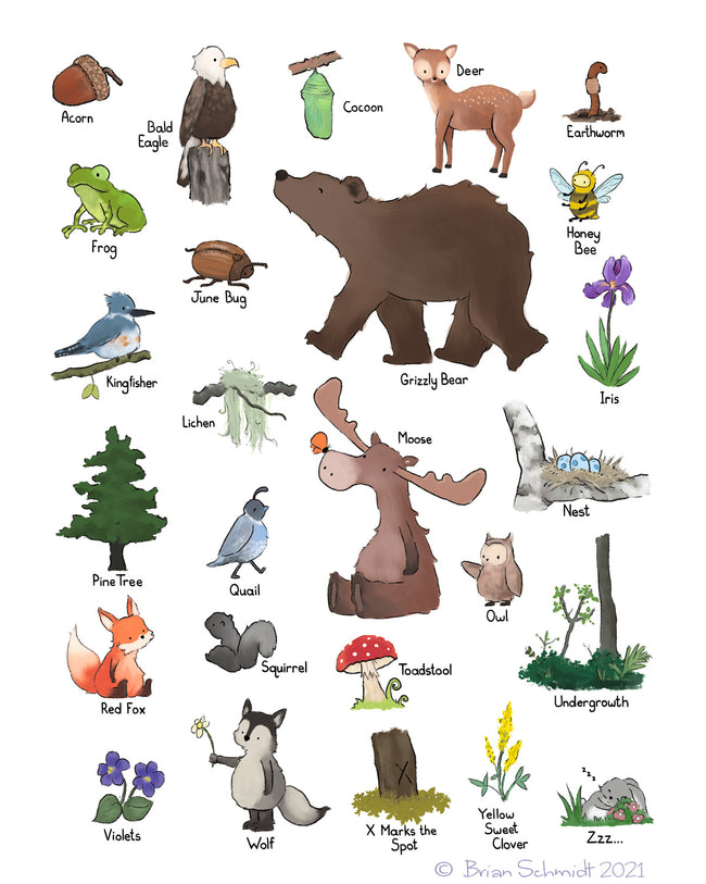 Alphabet Print - Woodland Wildlife