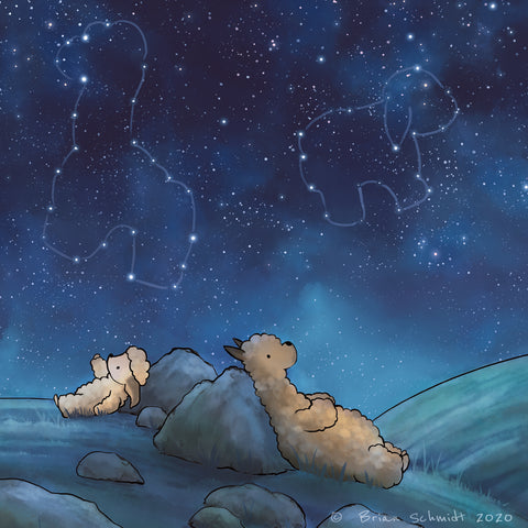 Alpaca & Sheep Art Print - Animal Constellations