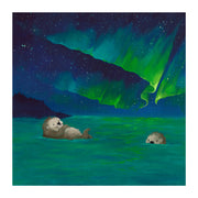 Aurora Otters