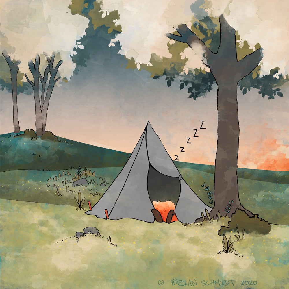 Fox Camping in Tent Outdoors Art Print– Lower Woodland Studio