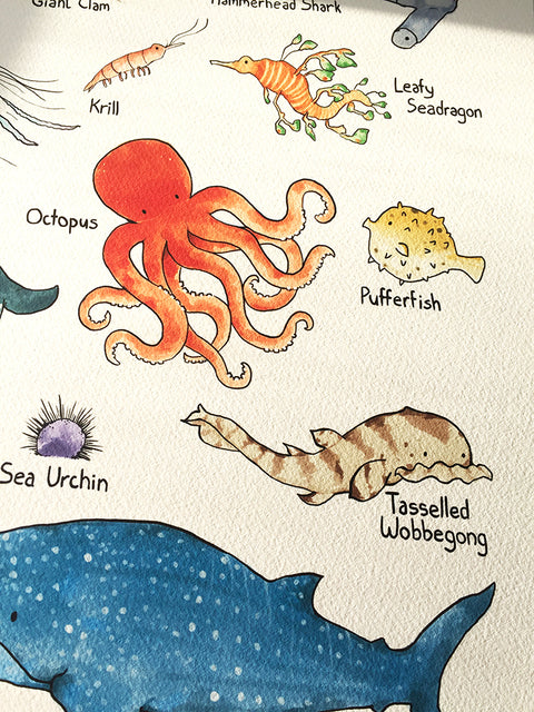 Alphabet Print - Marine Wildlife