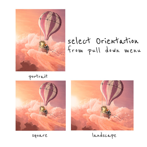 Lion and Toucan - Hot Air Balloon Adventure