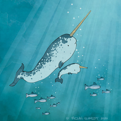 Narwhal Art Print - Baby Narwhal