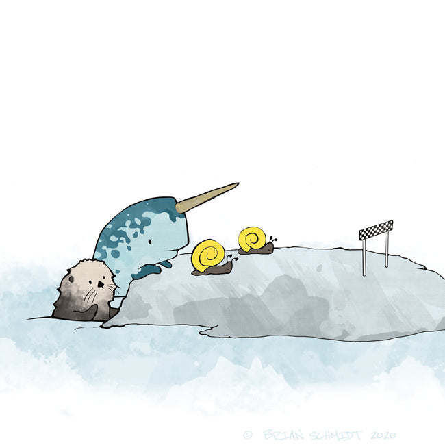 Narwhal and Sea Otters Art Print - Racing Snails