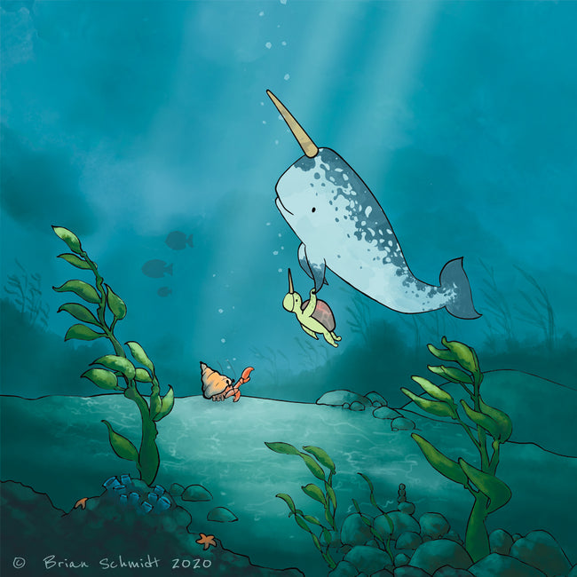 Narwhal & Sea Turtle