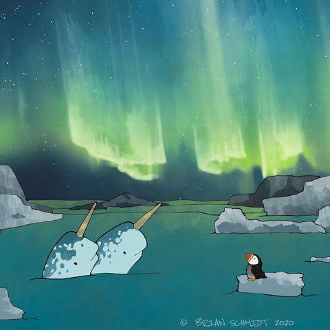 Narwhal & Puffin Art Print - Aurora Borealis