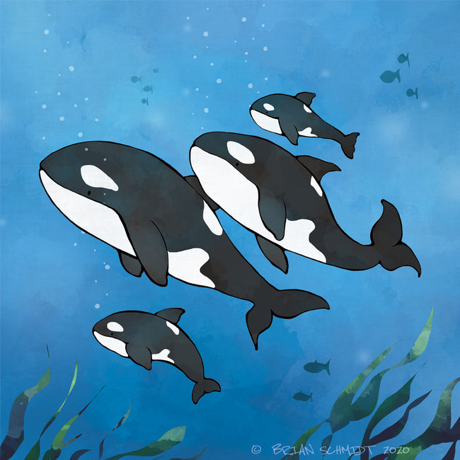 Orca Family Art Print