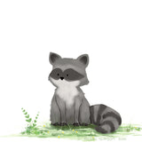 Raccoon Art Print