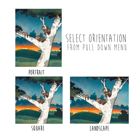 Sloth - Family Sleeping