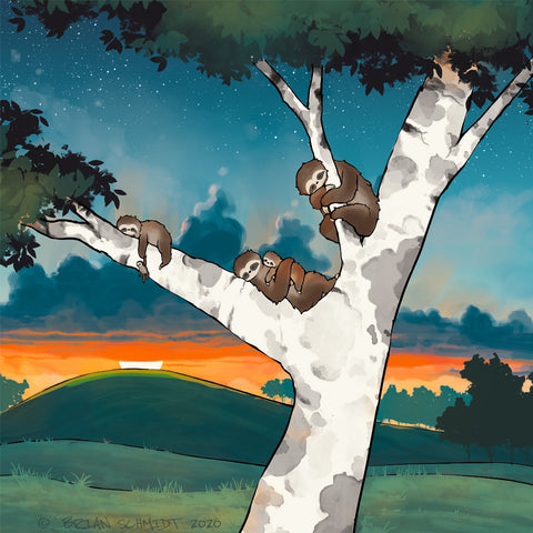 Sloth - Family Sleeping