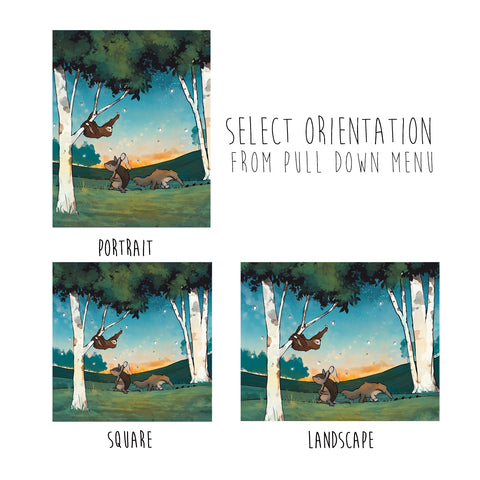 Sloth - Chasing bugs with an Anteater and Armadillo