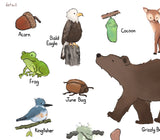 Alphabet Print - Woodland Wildlife