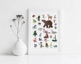 Alphabet Print - Woodland Wildlife