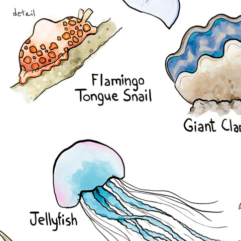 Alphabet Print - Marine Wildlife