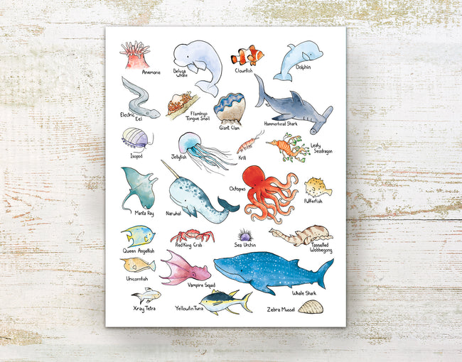 Alphabet Print - Marine Wildlife