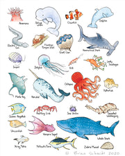 Alphabet Print - Marine Wildlife